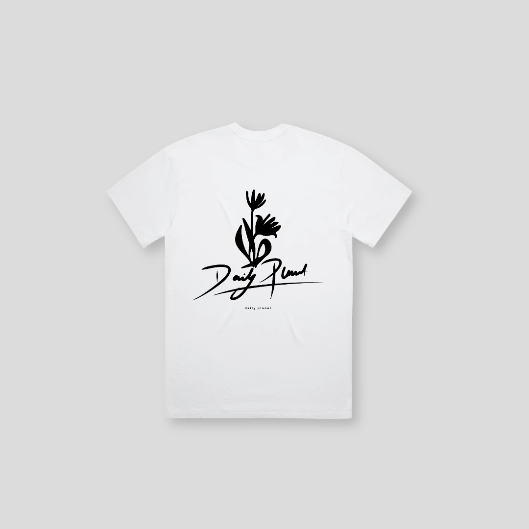 DLYP-006