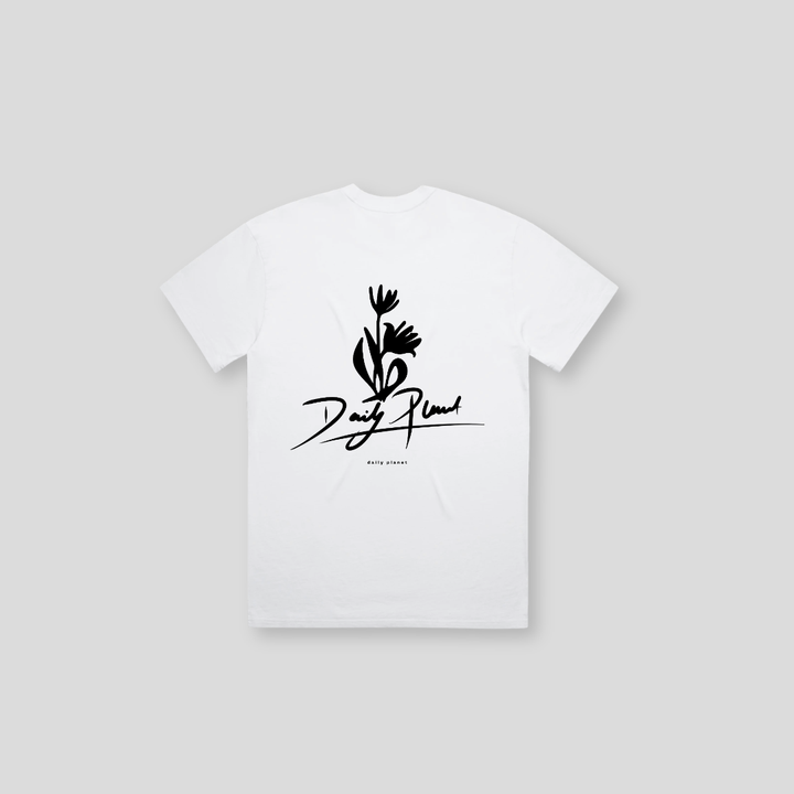DLYP-006