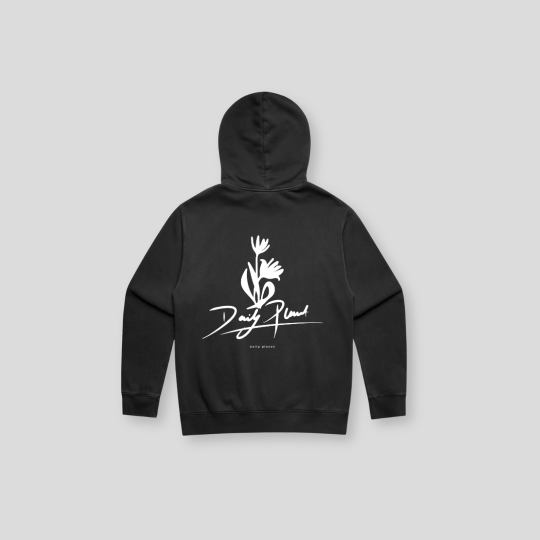 DLYP-008