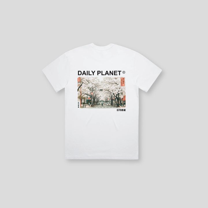 DLYP-010