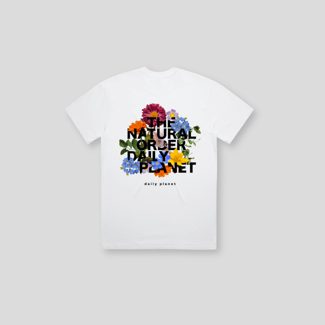 DLYP-018