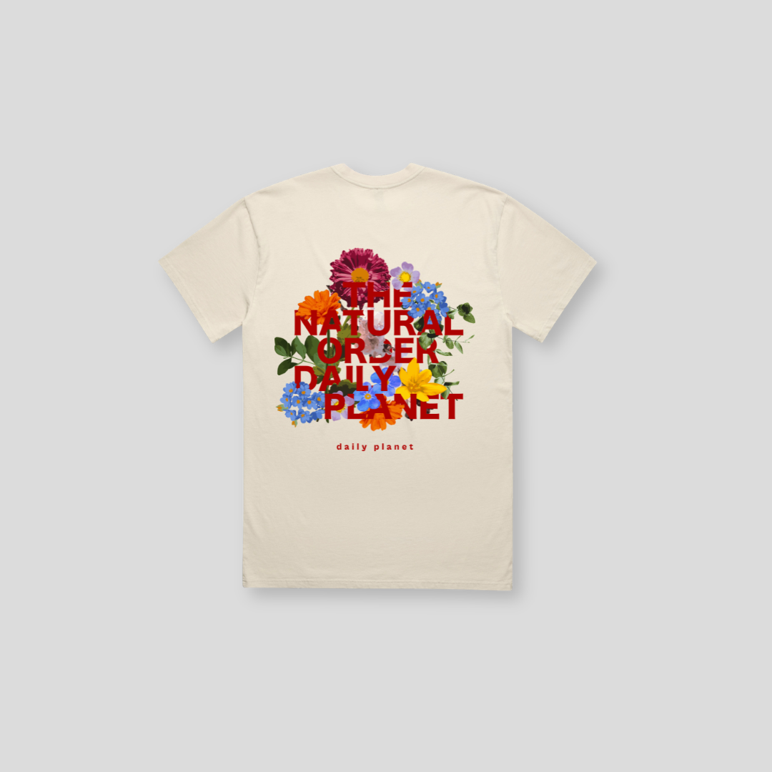 DLYP-020