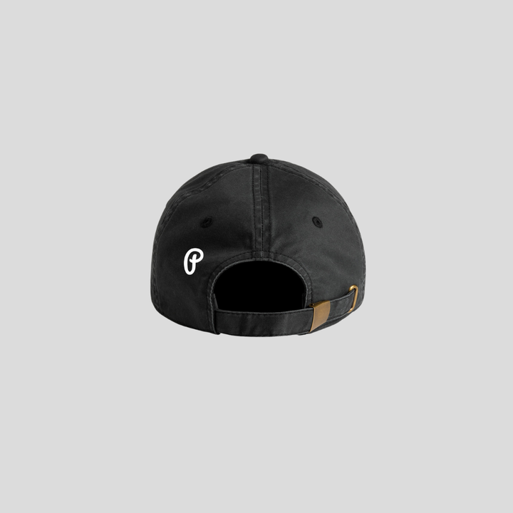 PARM-029