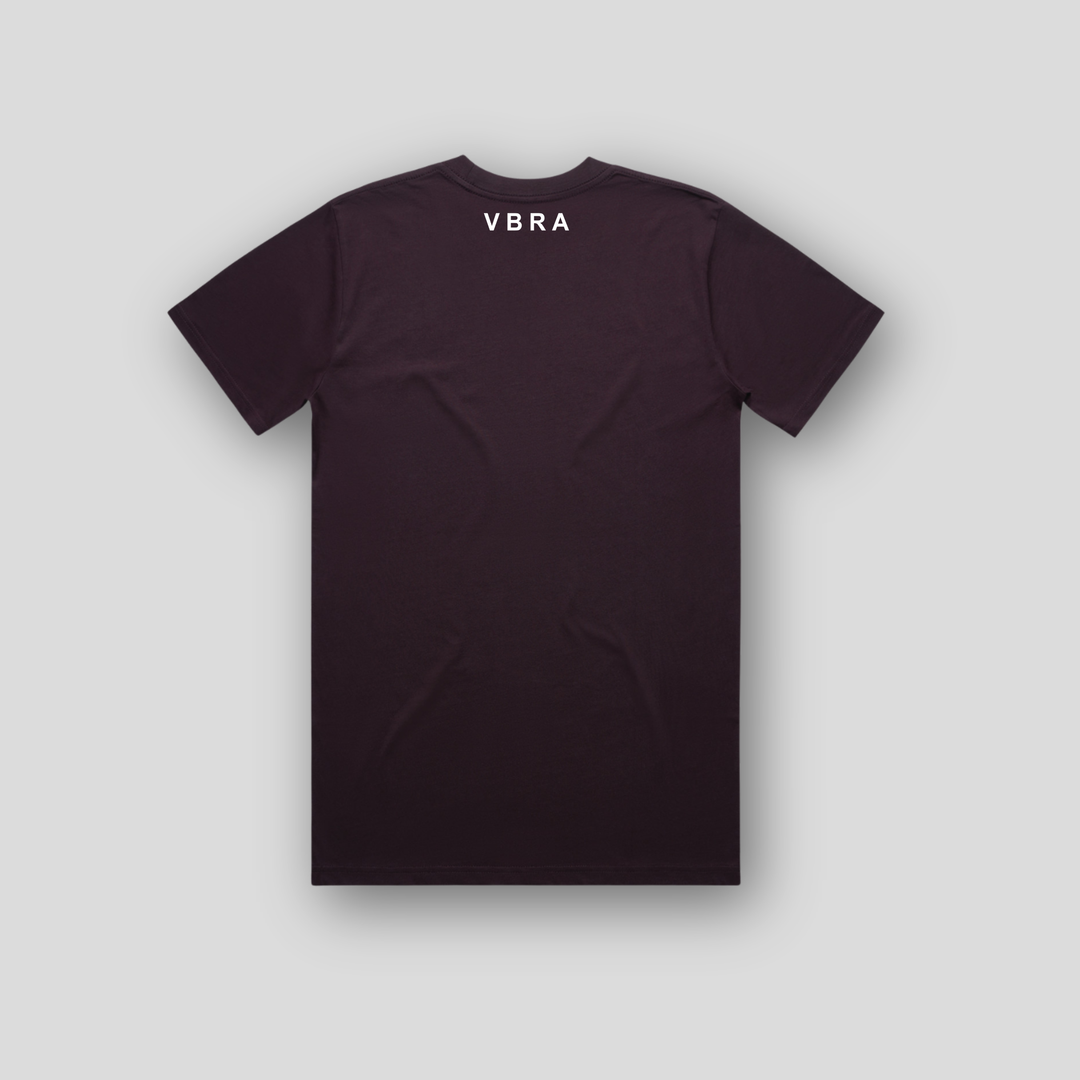 VBRA-035