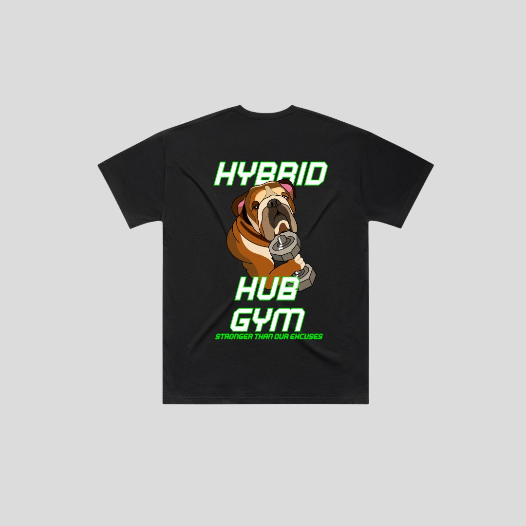 HYBRID-001