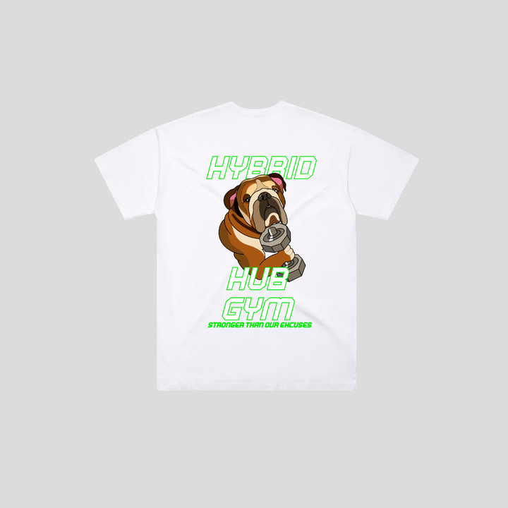 HYBRID-002