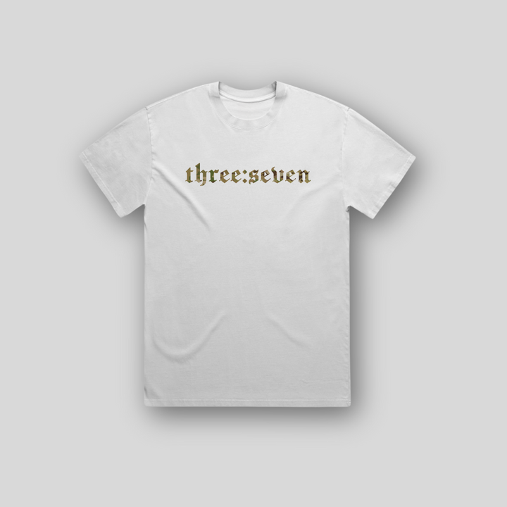 TS-008