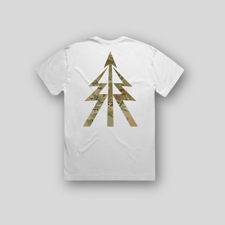TS-008