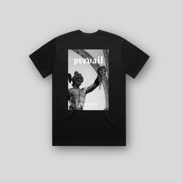 TS-006