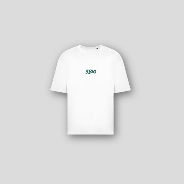 SBIG-001