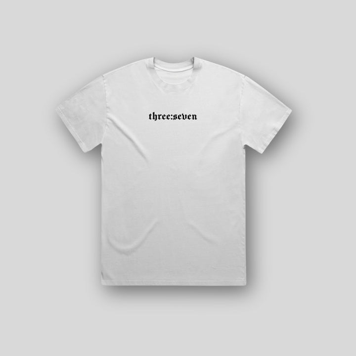 TS-001