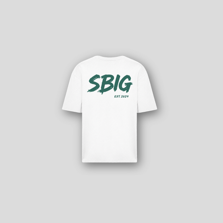 SBIG-001