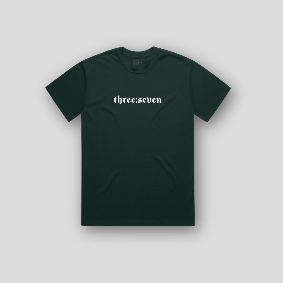 TS-025