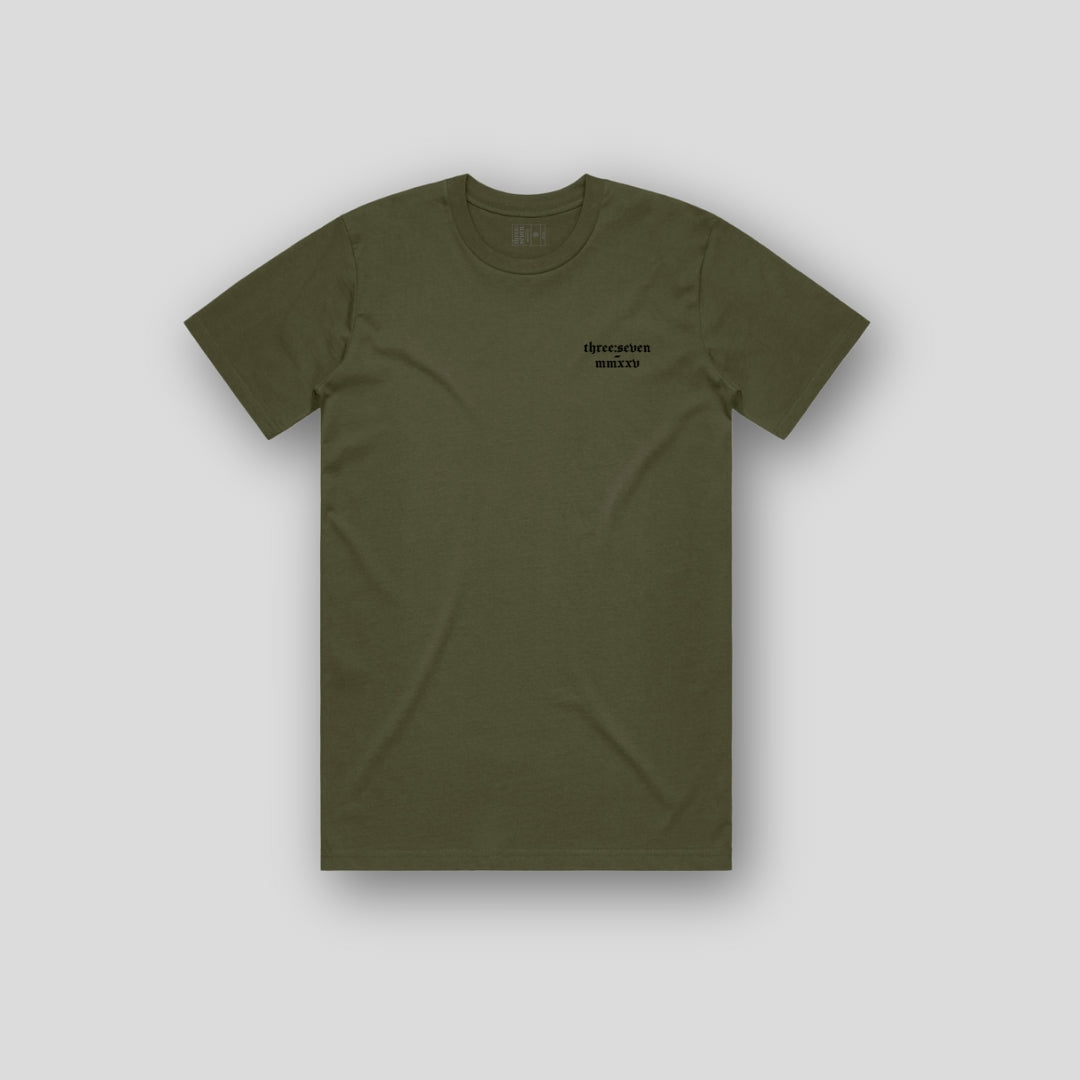 TS-027