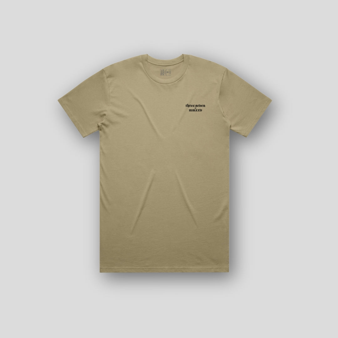 TS-029
