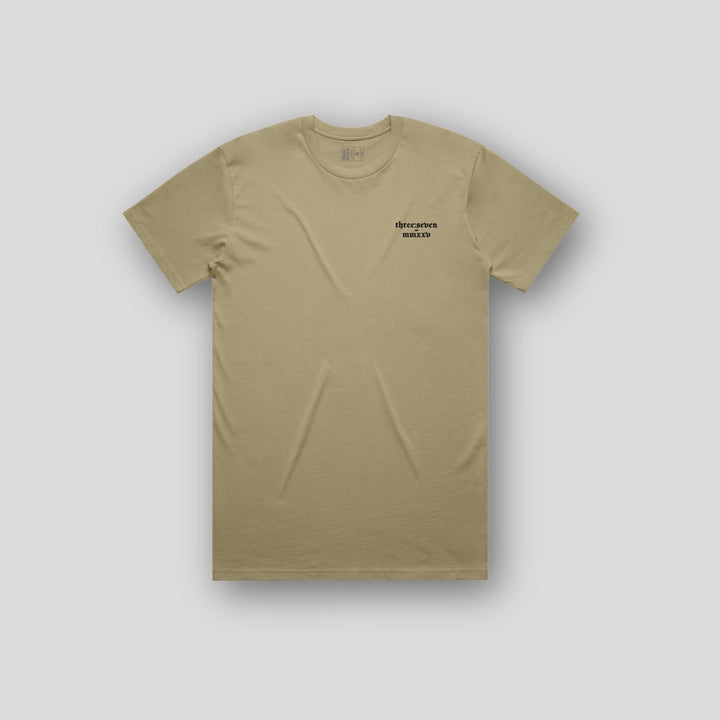 TS-029