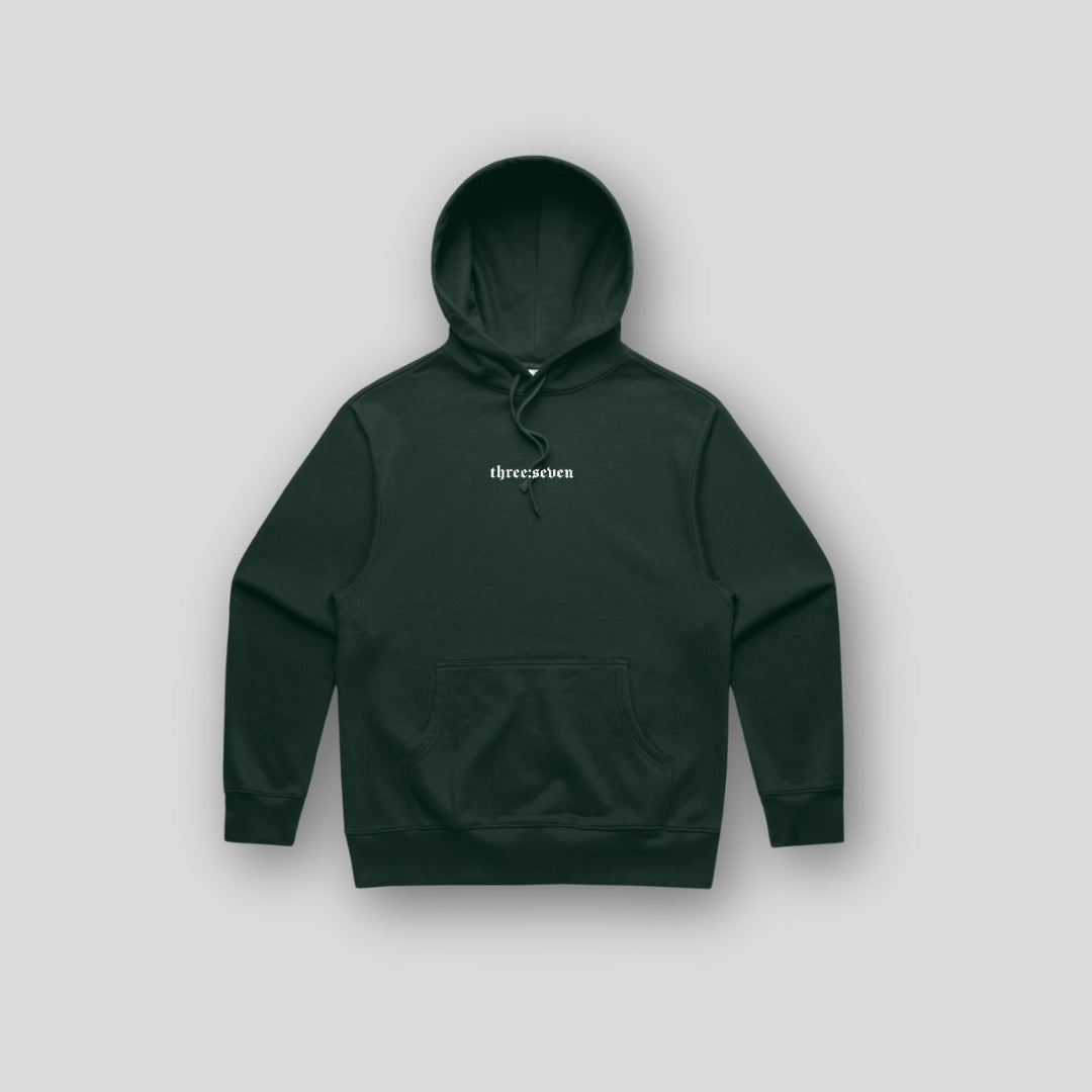 TS-031