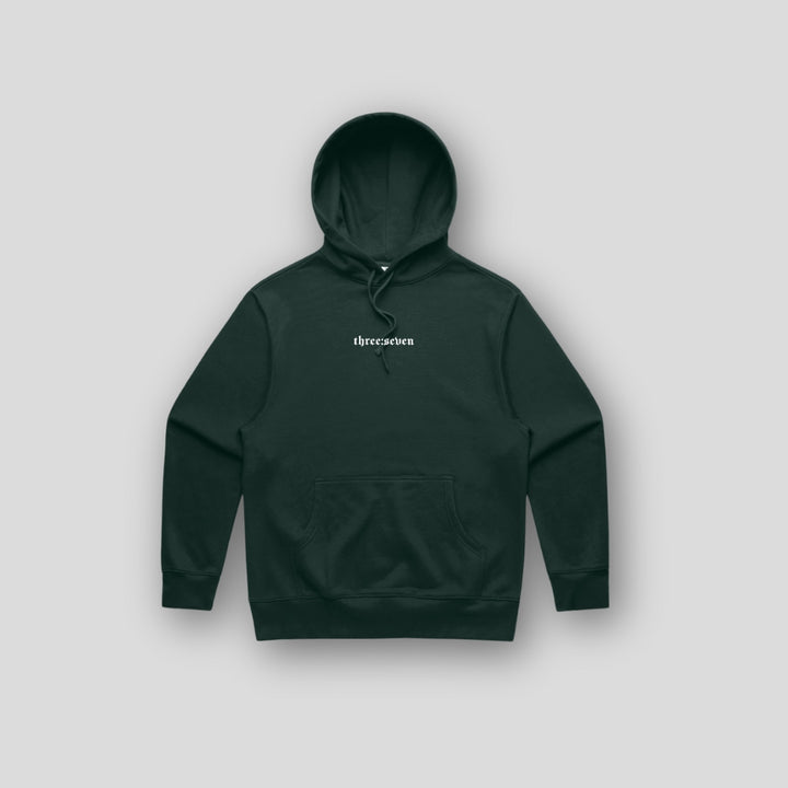 TS-031