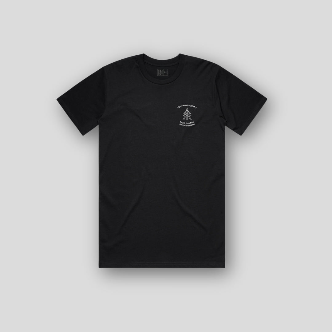 TS-032