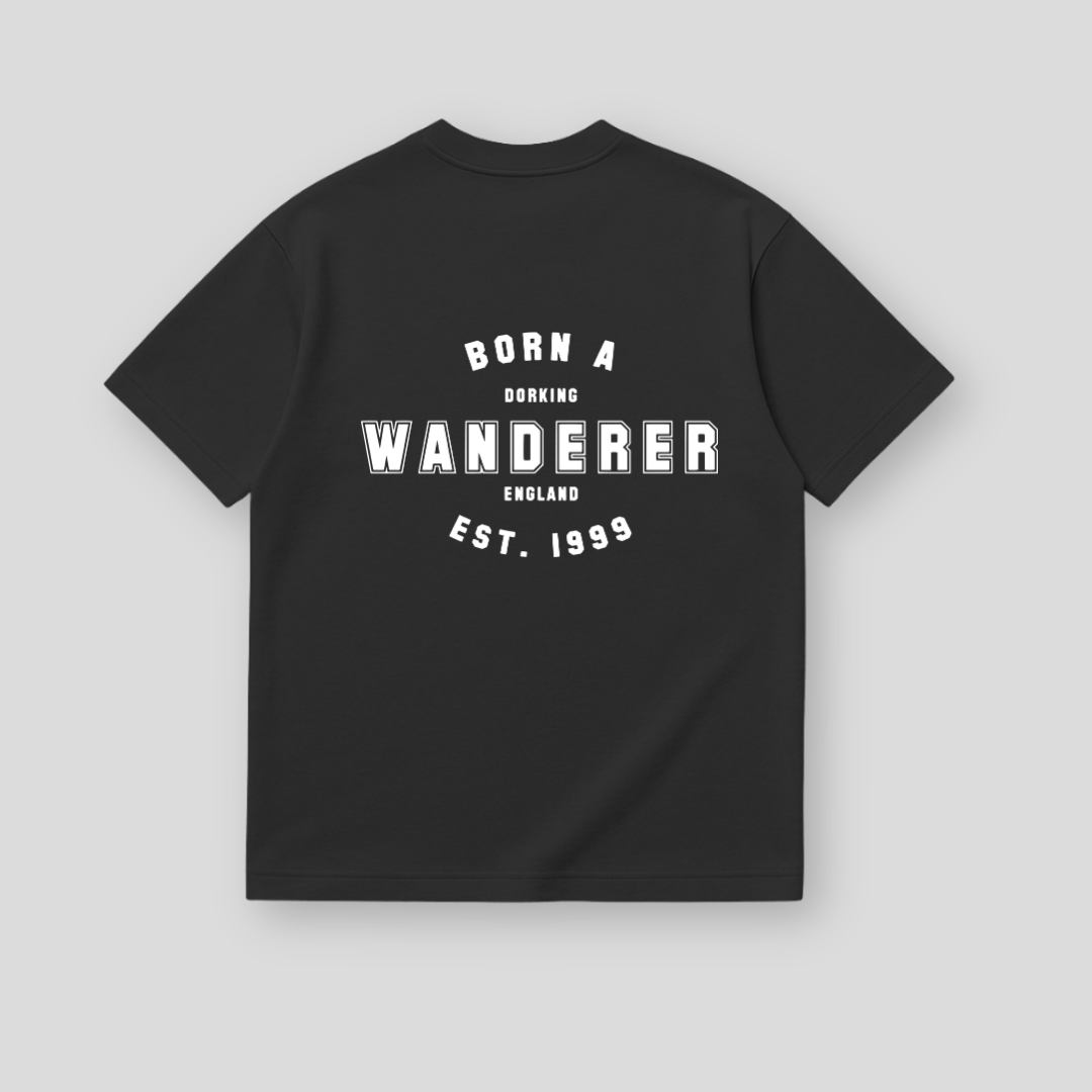 DW-005