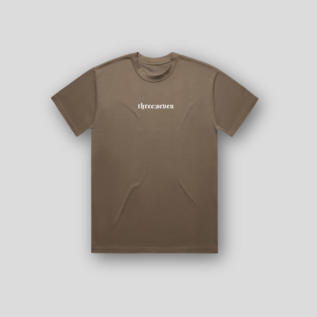 TS-034