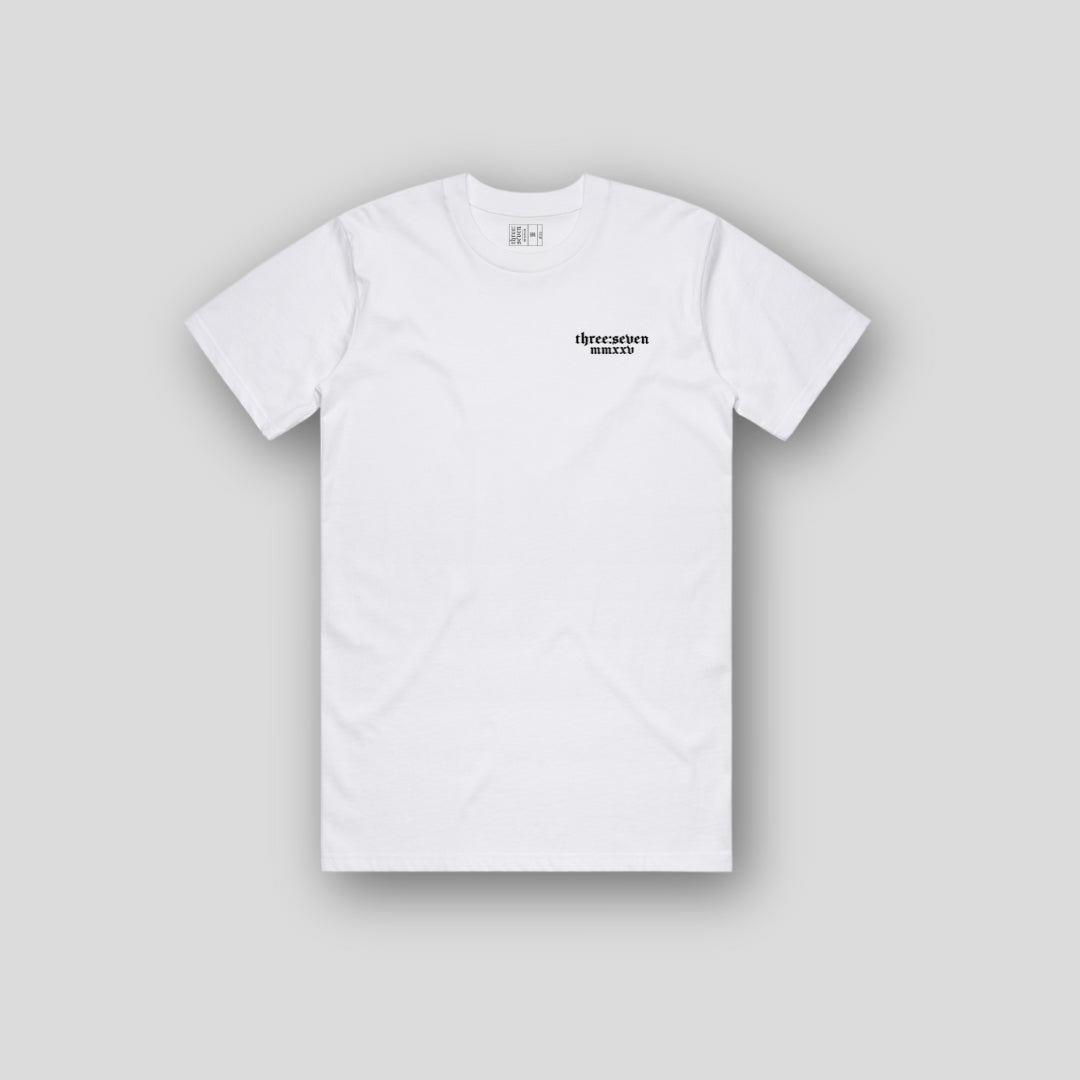 TS-035