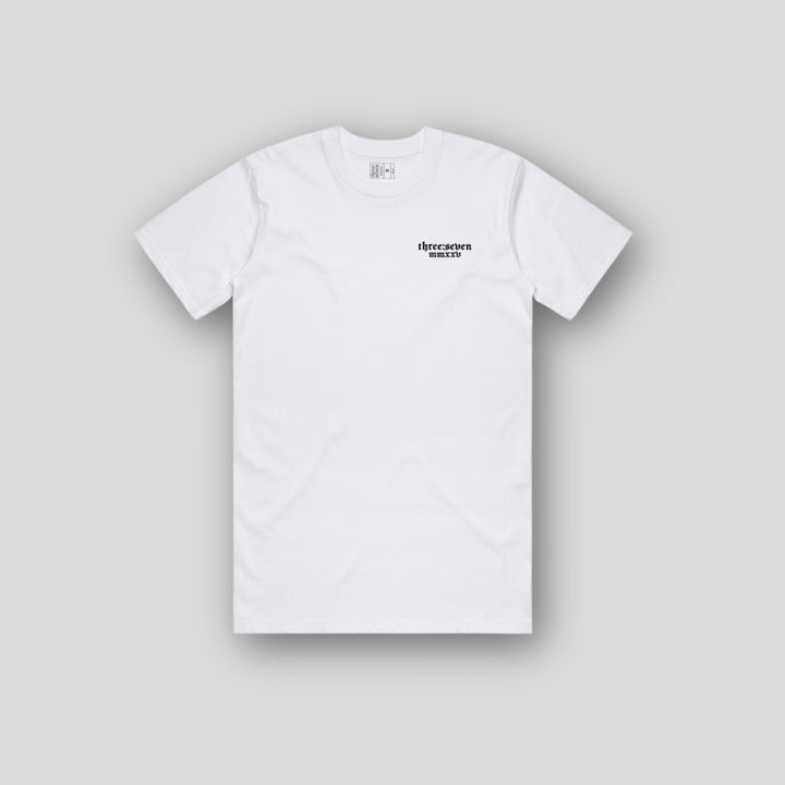 TS-035