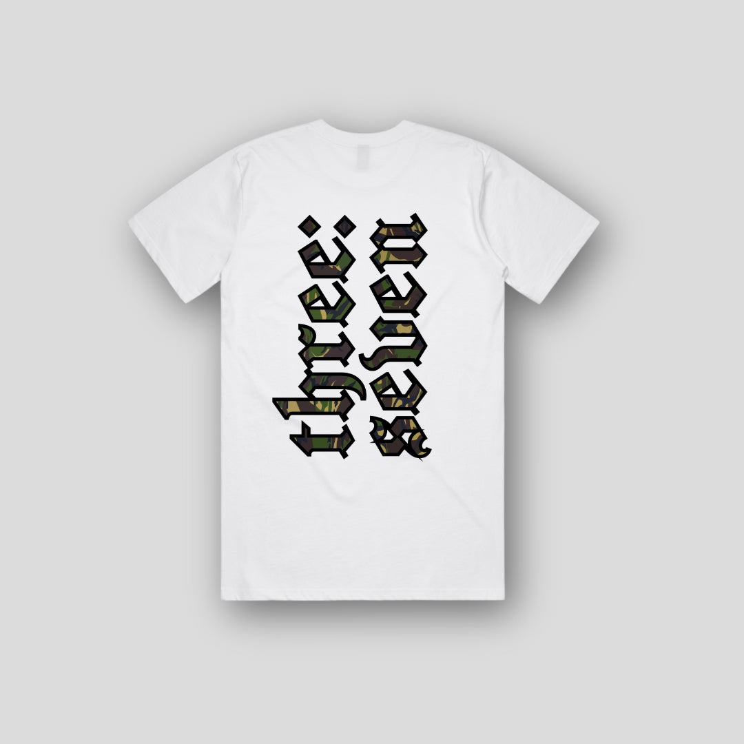 TS-035