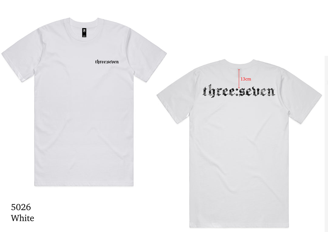 TS-039