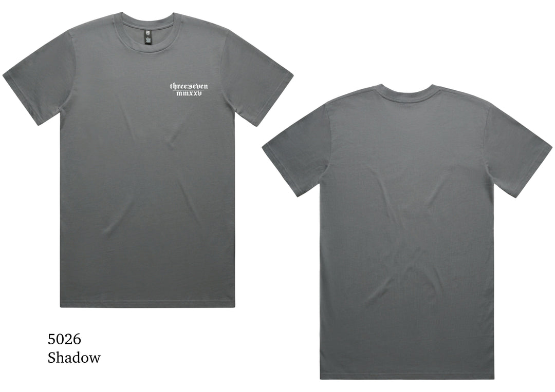 TS-040