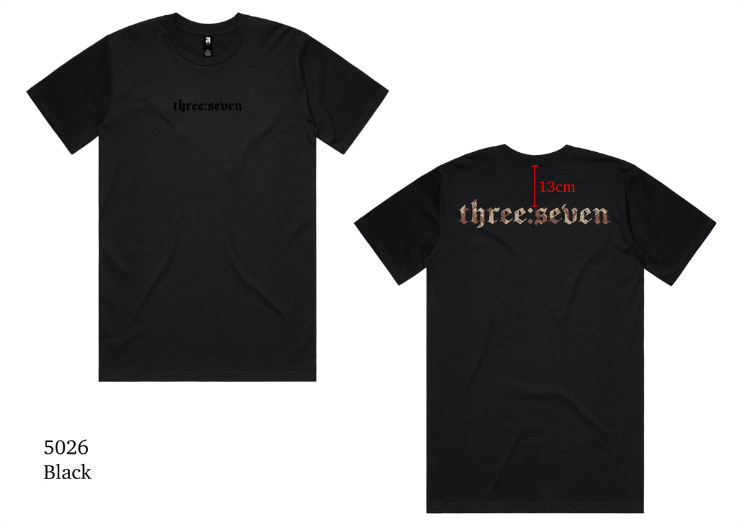 TS-041