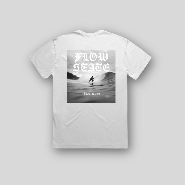 TS-001